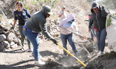 Ciudadanía y gobierno de Purísima limpian arroyo