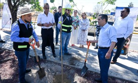 Arranca campaña de reforestación en San Francisco del Rincón