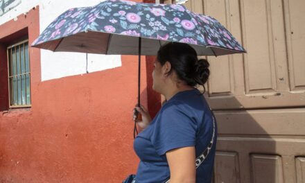 Evita exponerte al sol y golpes de calor