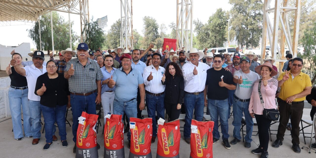 Apoyan al campo de Purísima con semilla de calidad