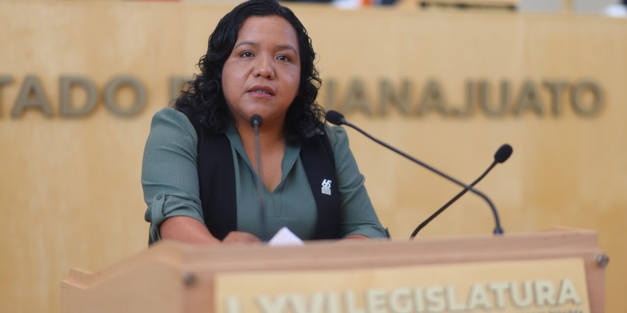 Plasida Calzada: “Mientras el PAN simula respaldo a las causas indígenas, promueve y legitima voces que niegan su historia”