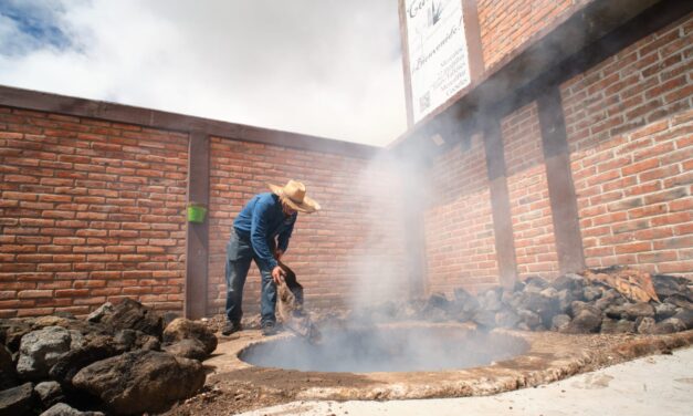 Guanajuato suma 4 municipios más a la Denominación de Origen Mezcal