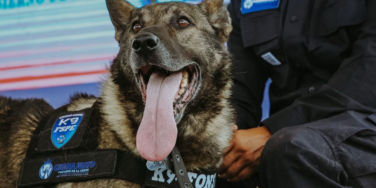 Se jubilan 10 caninos de la Unidad K9, ¡Misión Cumplida!