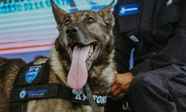 Se jubilan 10 caninos de la Unidad K9, ¡Misión Cumplida!