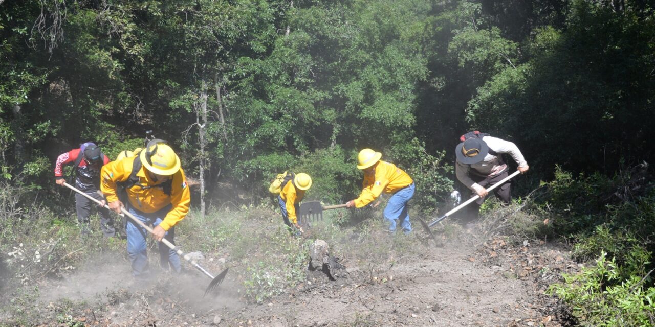 Previenen incendios forestales en Guanajuato