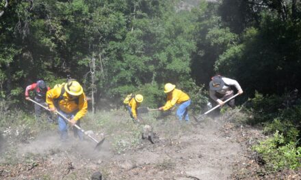 Previenen incendios forestales en Guanajuato