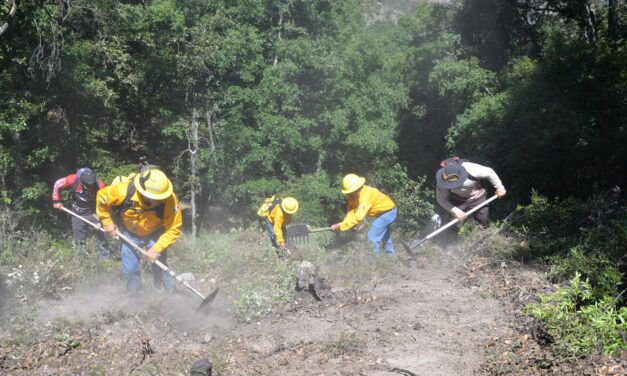 Previenen incendios forestales en Guanajuato