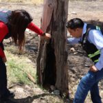 Retirarán árboles secos en Camino Viejo de San Francisco del Rincón