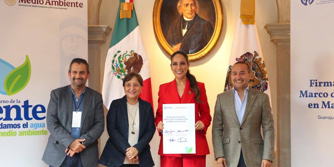 Buscan proteger los bosques en Guanajuato