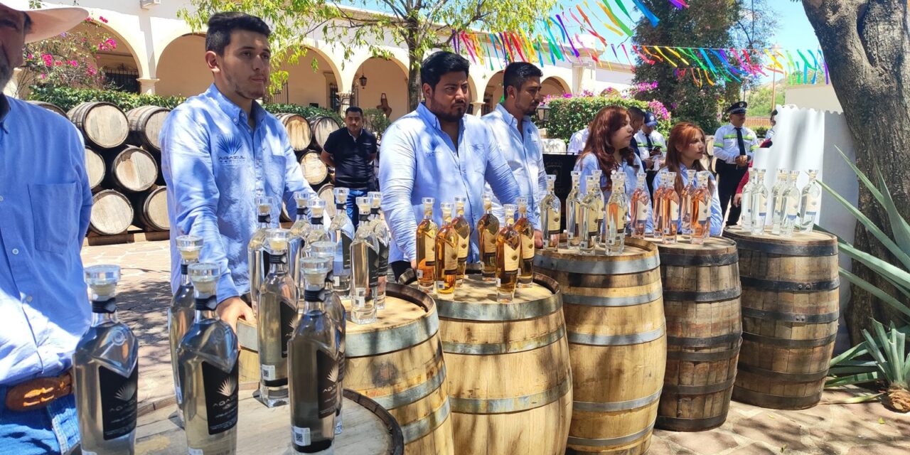 Todo listo para el 4to. Festival del Agave y sus Raíces en Cañada de Negros