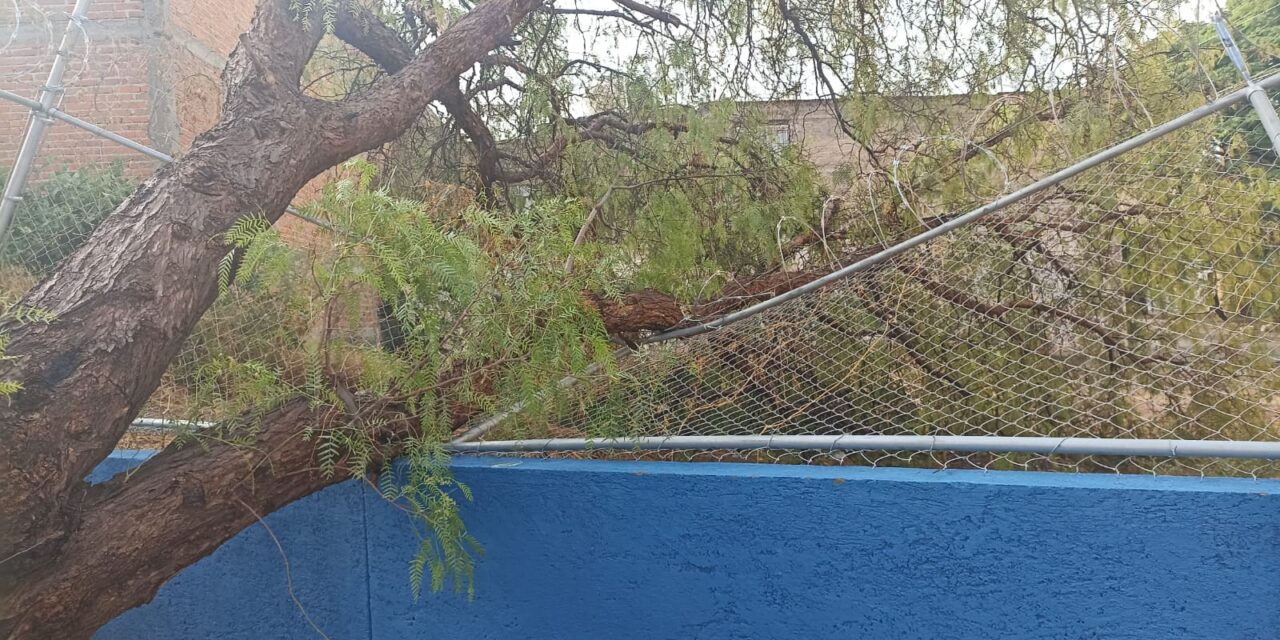 Atienden afectaciones por lluvias en Purísima del Rincón