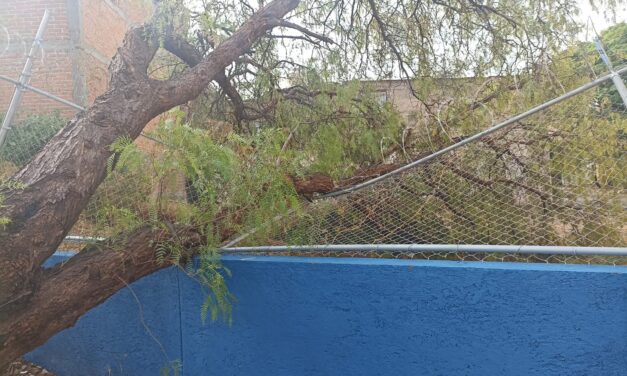 Atienden afectaciones por lluvias en Purísima del Rincón