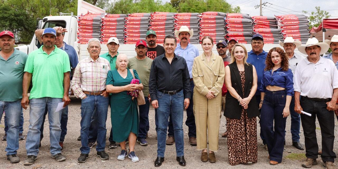 Fortalecen campo de San Francisco del Rincón con semilla certificada