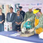 En Purísima del Rincón realizan Campaña de Desarme Voluntario y Canje de Juguetes Bélicos