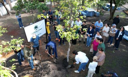 En Purísima del Rincón unen esfuerzos por el arbolado urbano