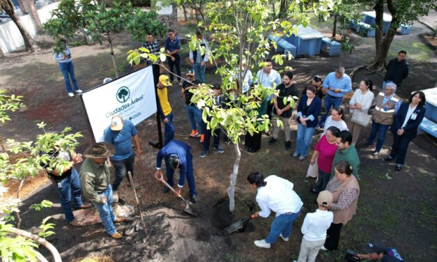 En Purísima del Rincón unen esfuerzos por el arbolado urbano