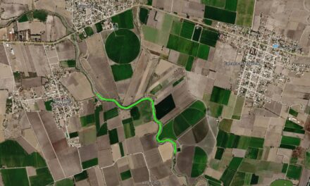 Inicia reforestación del Corredor Biológico de Manuel Doblado