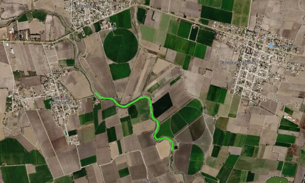 Inicia reforestación del Corredor Biológico de Manuel Doblado